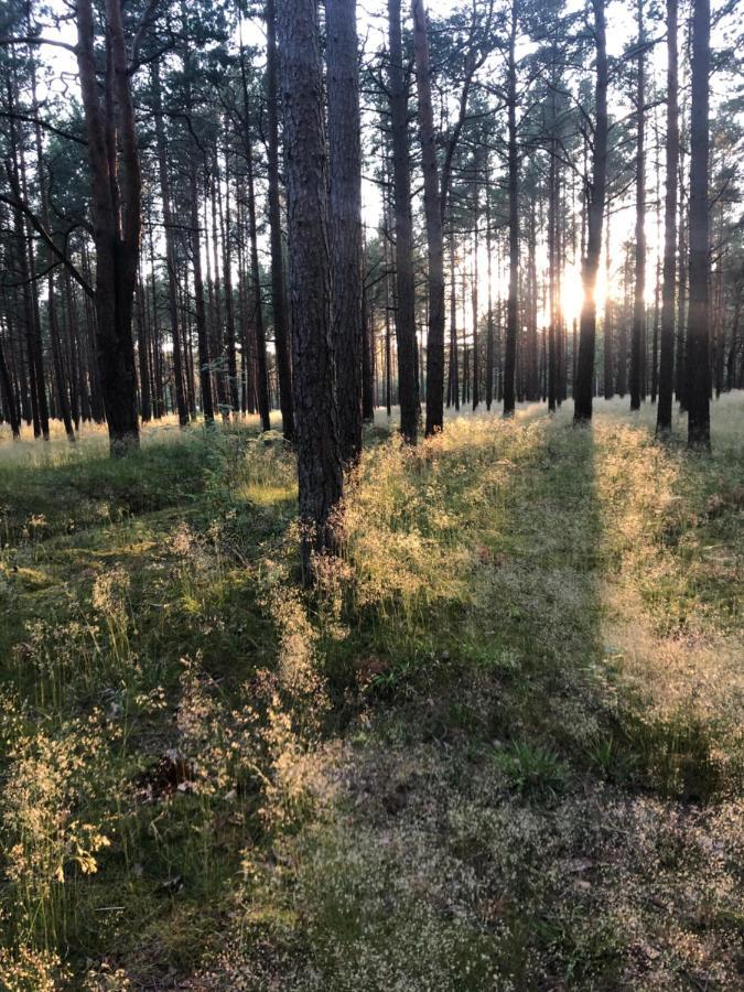 Juros Brizas Daire Palanga Dış mekan fotoğraf